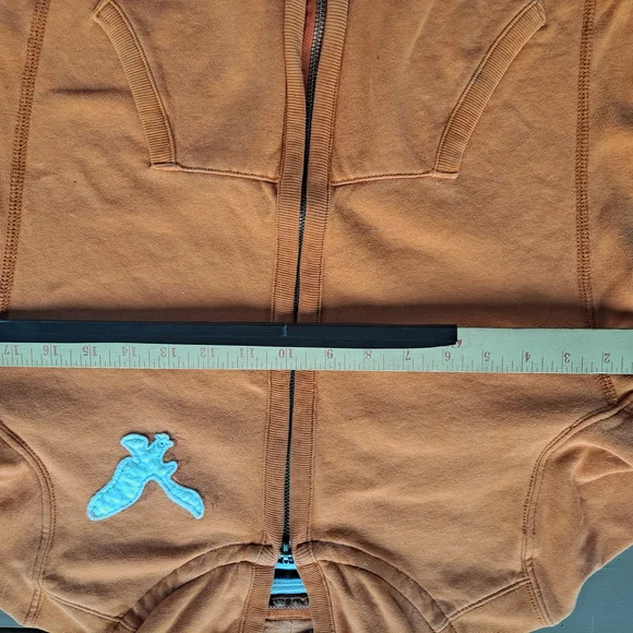 American Eagle Outfitters Burnt Orange Hoodie with Eagle Emblem - Picture 5 of 6